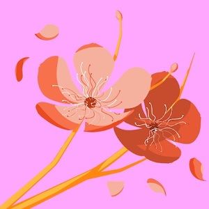 Meet your Posher, Lily